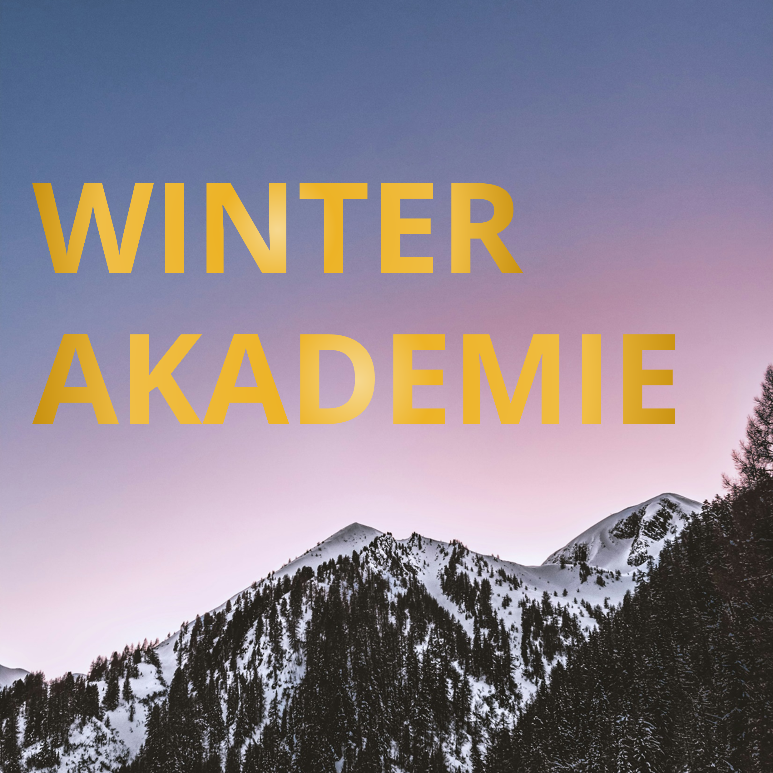 Winterakadmie Website