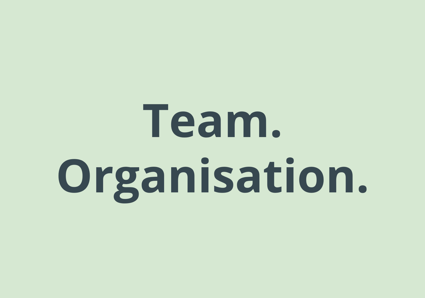 team-organisation